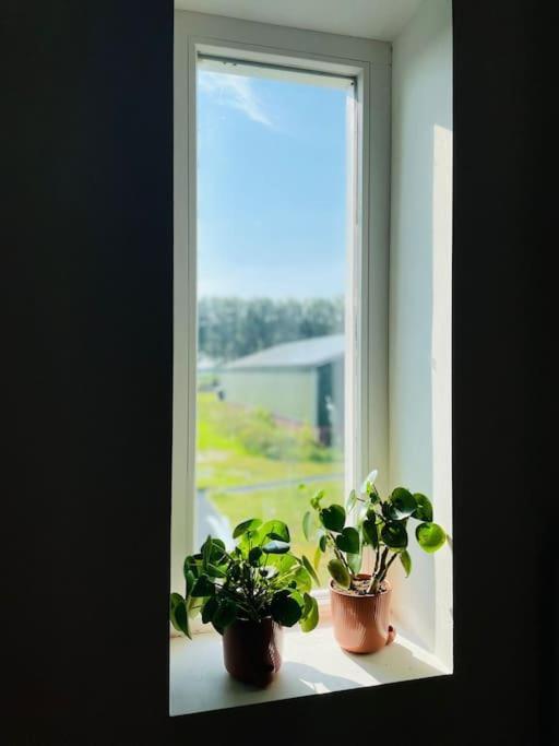 Cozy Appartment On The Farm Loenen aan de Vecht Esterno foto